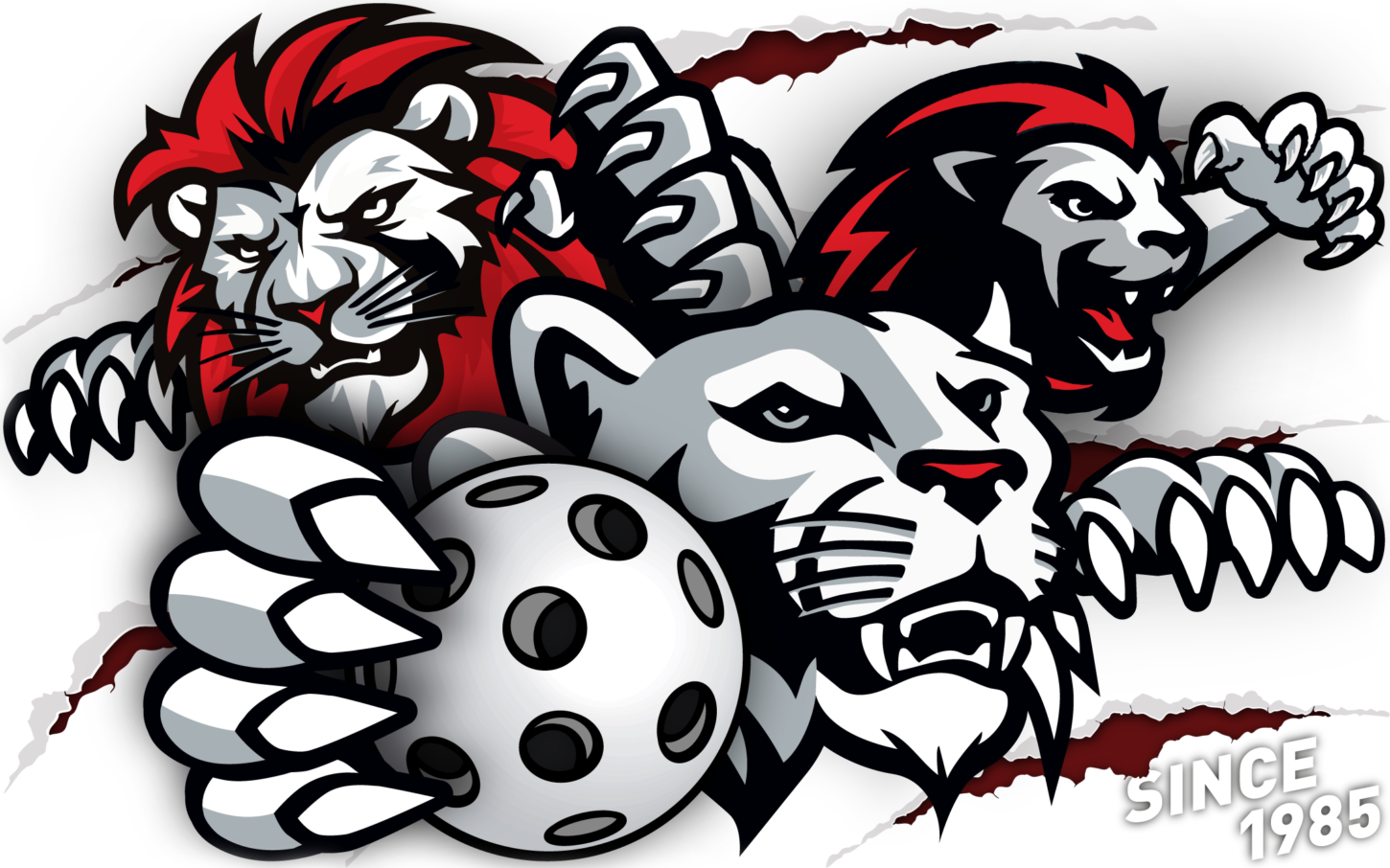 uhcb_header-2026