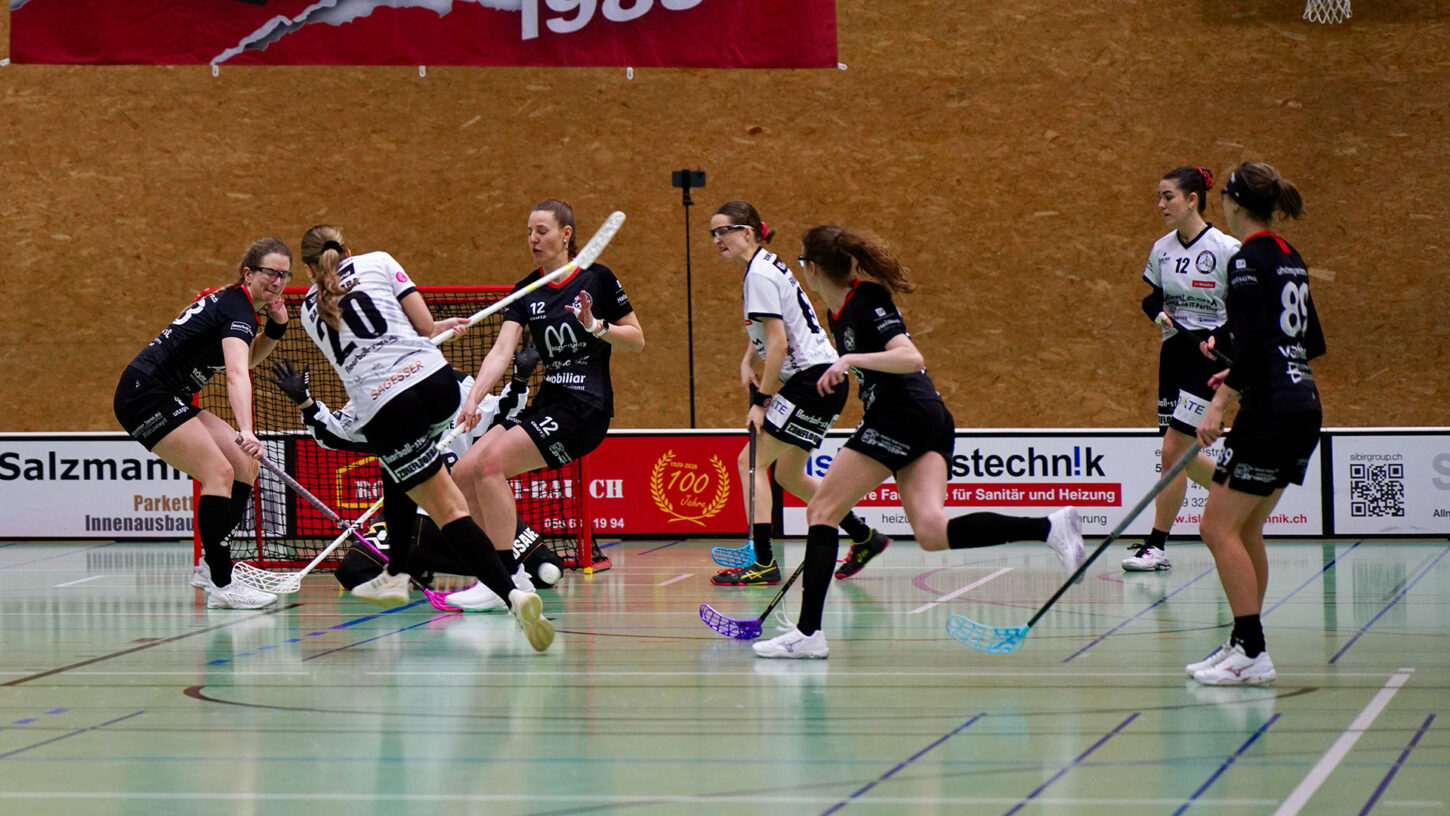 55098717379-4dfb604d2e-web